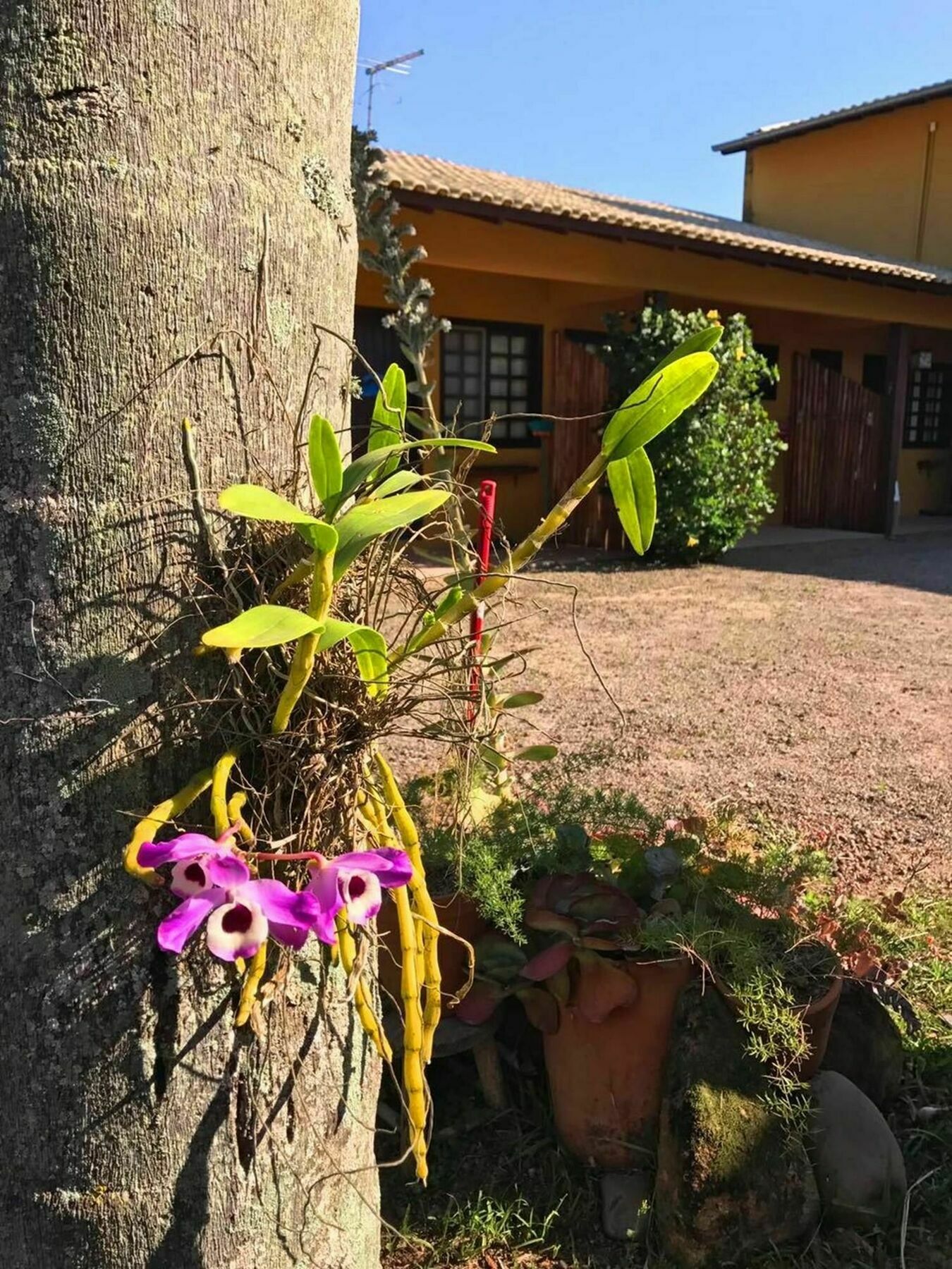 Pousada Habitat Marinho Imbituba  Exterior photo